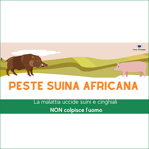 Peste suina africana